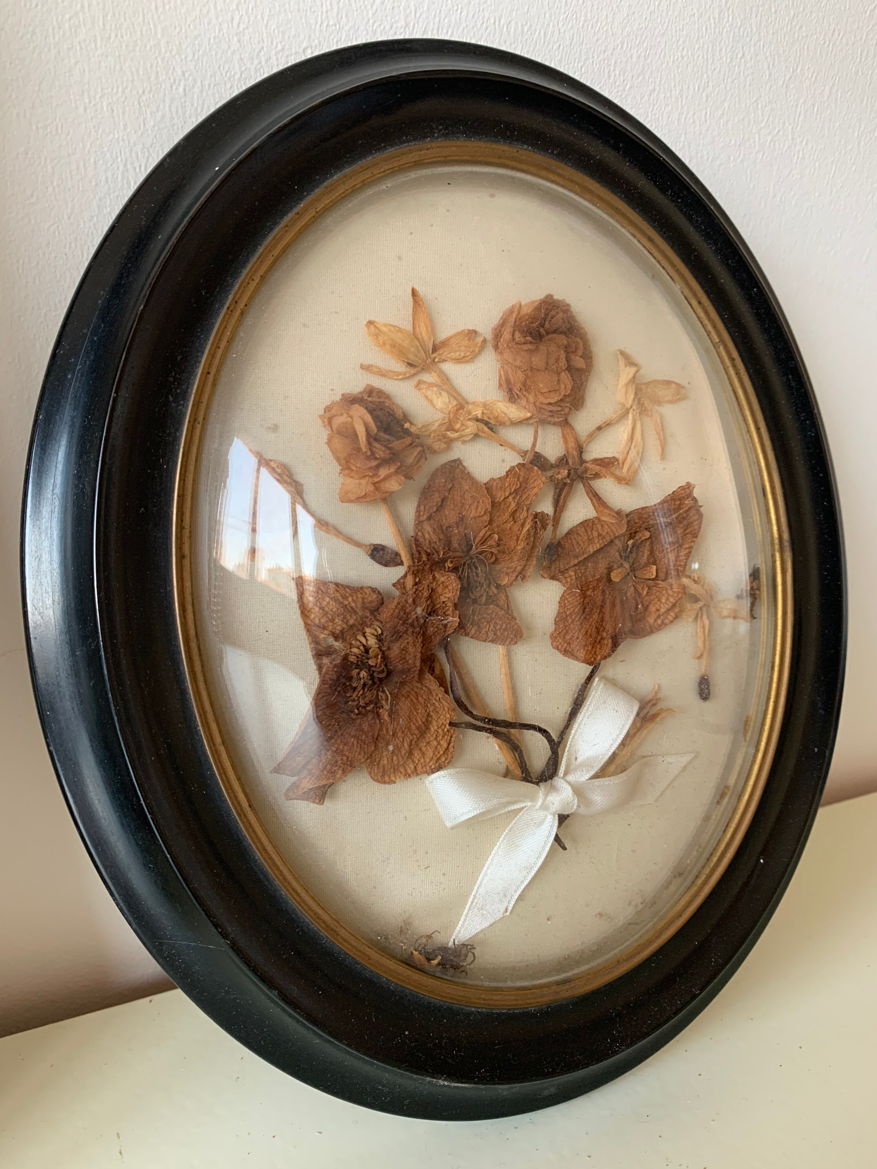 Herbier avec cadre Napoléon III