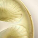 Dish and 6 shell plates