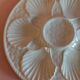 Oyster plate in white earthenware from Longchamp