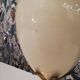 The Dolphin brand egg lamp