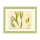 Club Moss, Plante, Graine, Estampe Botanique Ancienne, 1874