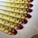 Antique asparagus dish in Limoges porcelain – Pates & Cie – system