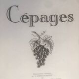 Rare vine botanical board