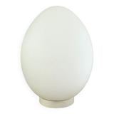 Glass Egg Lamp