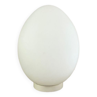 Glass “Egg” lamp