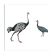 Planche Ornithologique Buffon 1838 "Autruche & Casoar"