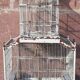 Cage à oiseaux "Fanton, Paris"