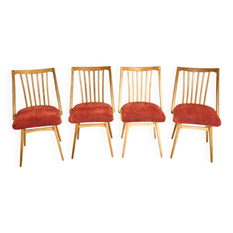 Ensemble de quatre chaises de salle à manger Antonin Suman des années 1960, Tchécoslovaquie
