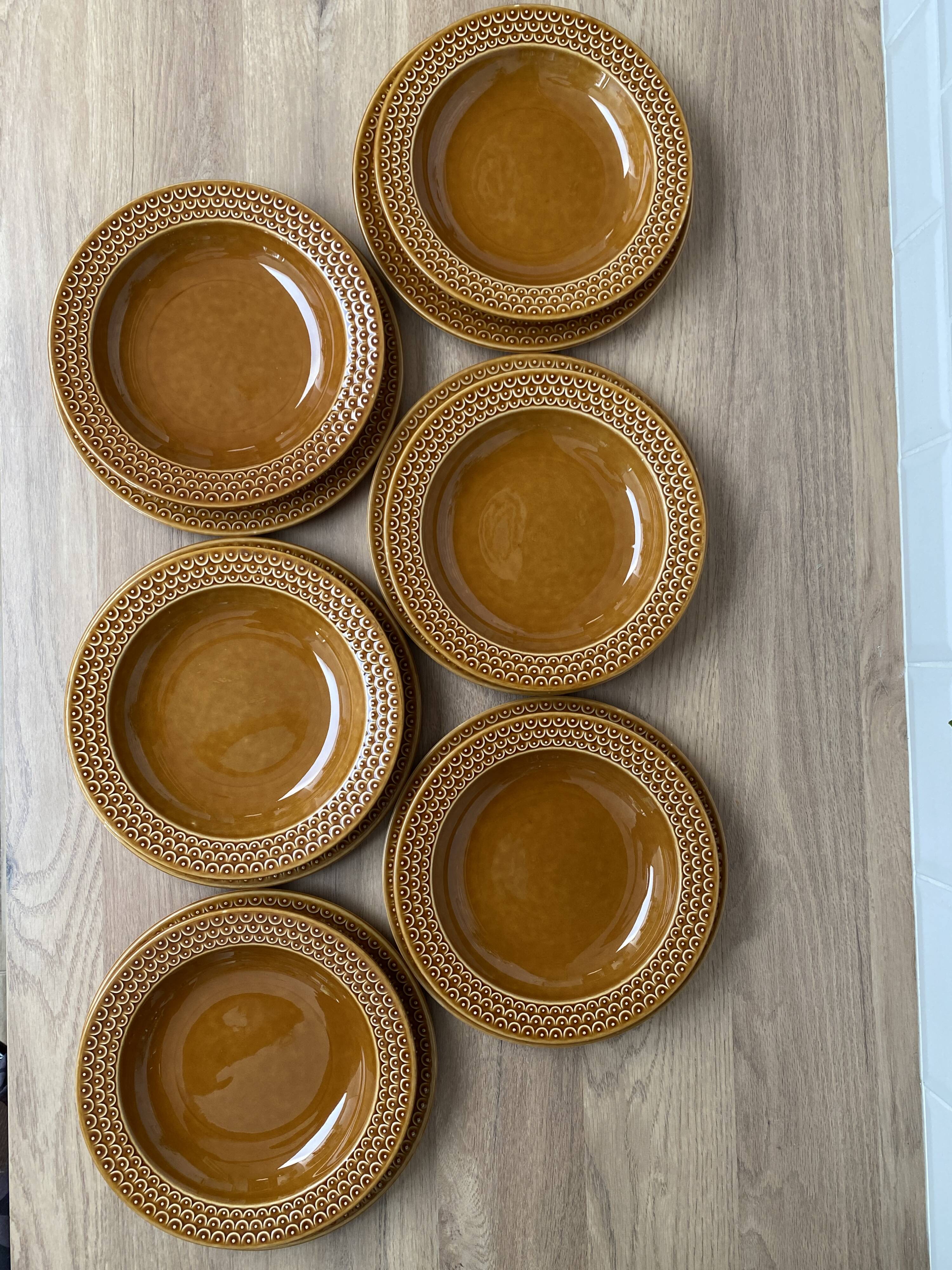 Set of 12 Pagnossin earthenware plates