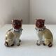 Pair of porcelain pugs Pug dog XIX Germany Saxony Meissen ?
