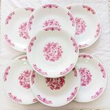 7 assiettes plates fleuries Bavaria