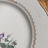 Set of 12 flat plates Digoin Sarreguemines