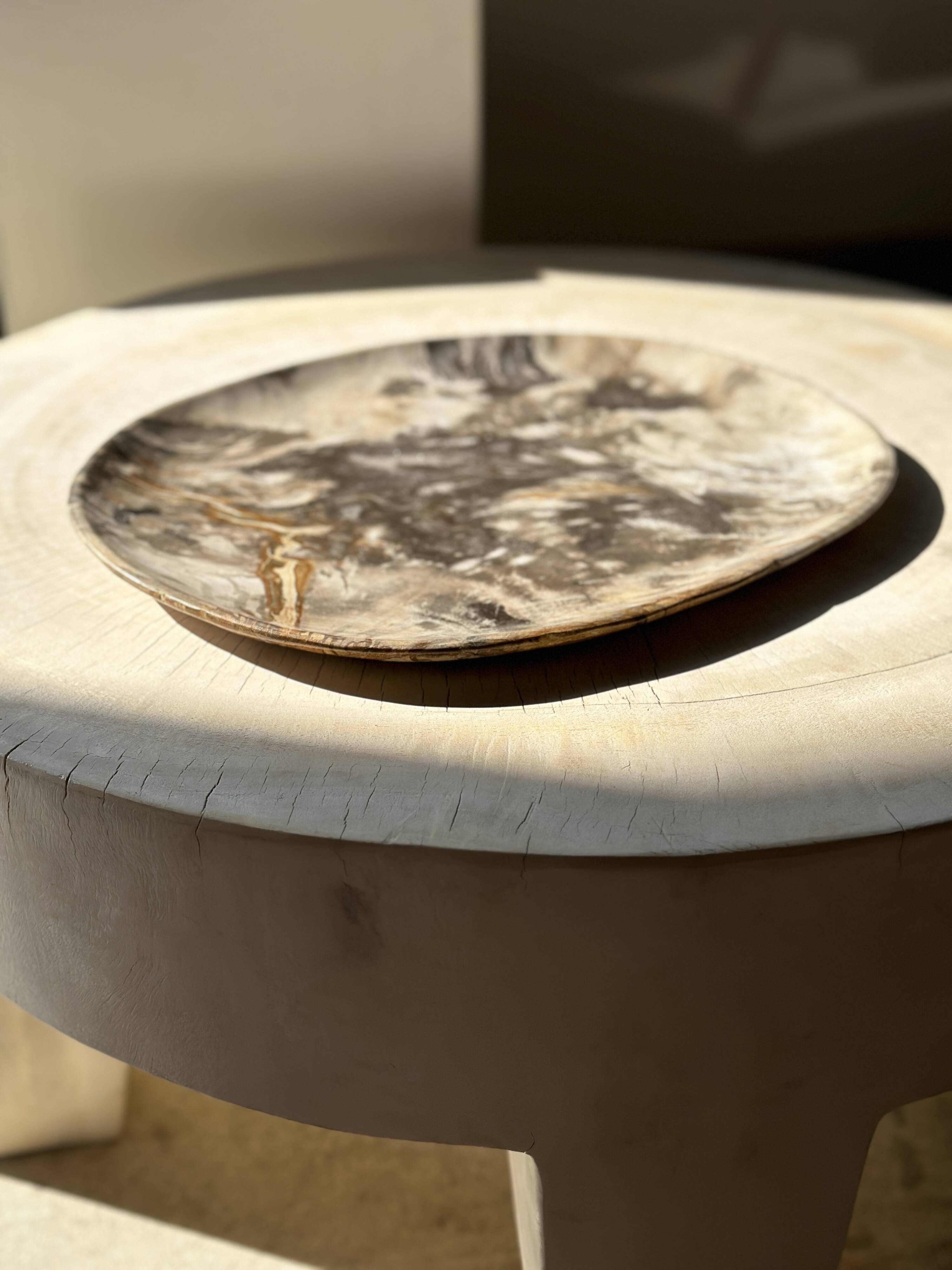 Very large pocket or dish in petrified wood