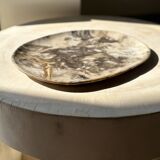 Very large pocket or dish in petrified wood