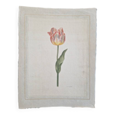 La Roche Laffitte (Born in 1943) - Watercolour drawing on silk - Tulip