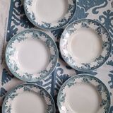 5 deep plates from Saint Amand ironstone