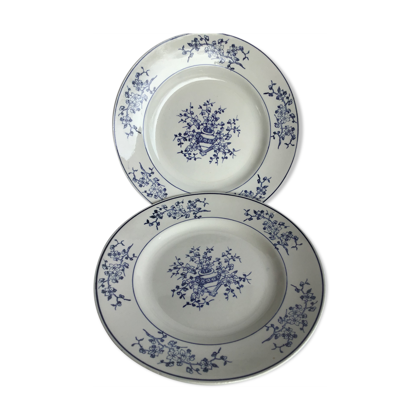Paire assiettes Terre de Fer St Amand marine et blanc