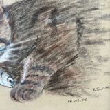 Charcoal tabby cat painting