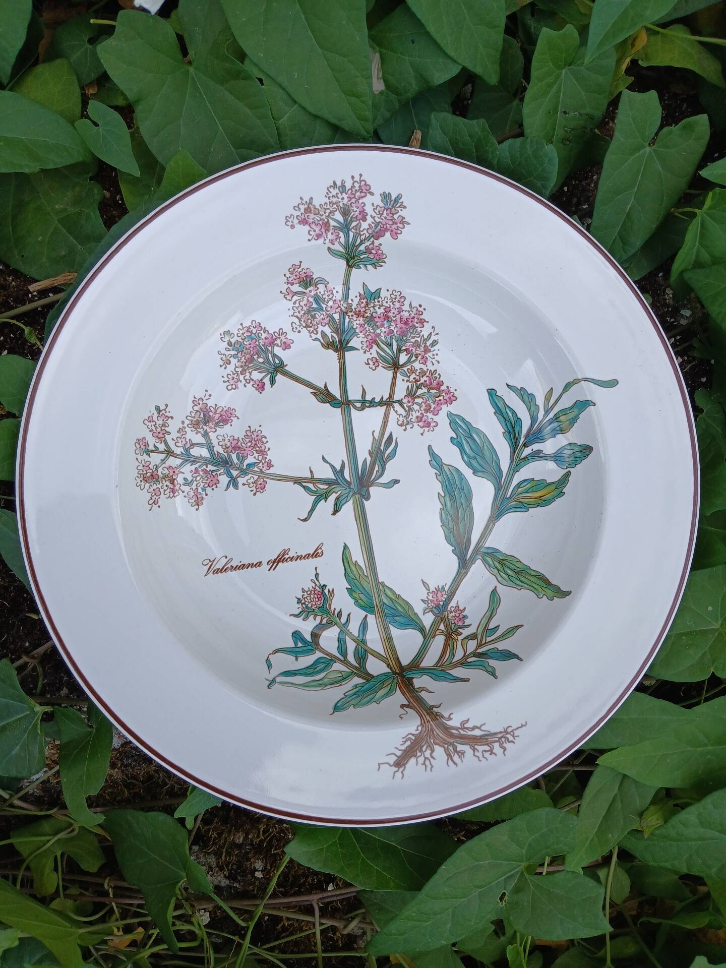 Assiette creuse Villeroy et Boch