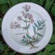 Assiette creuse Villeroy et Boch