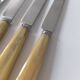 Set of 12 bakelite and stainless steel knives