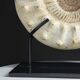 Fossile d'ammonite sur support