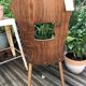 4 Baumann Gentiane chairs
