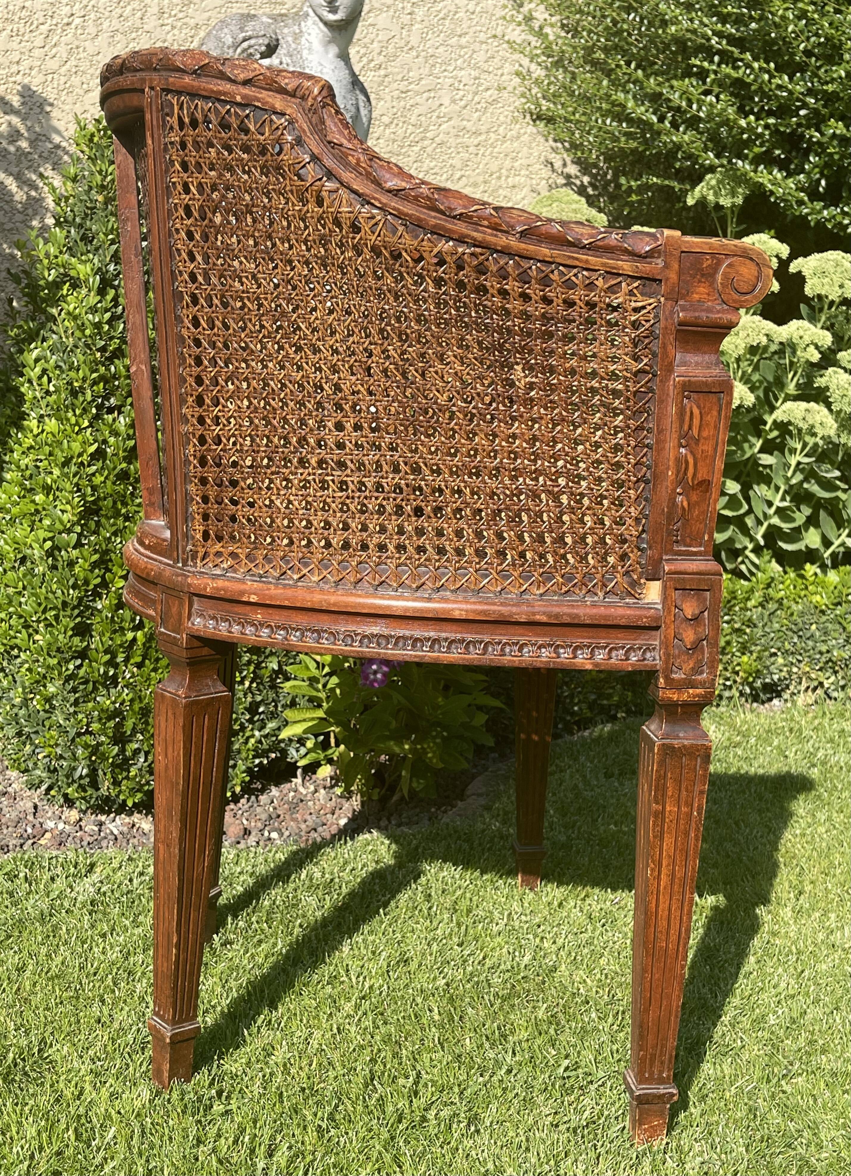 Armchair in Fruit Wood and Cannage Style Louis XVI