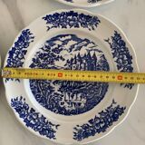 Blue Pyroblan Porcelain Plates