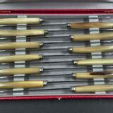 Box 12 stainless steel knives art deco horn