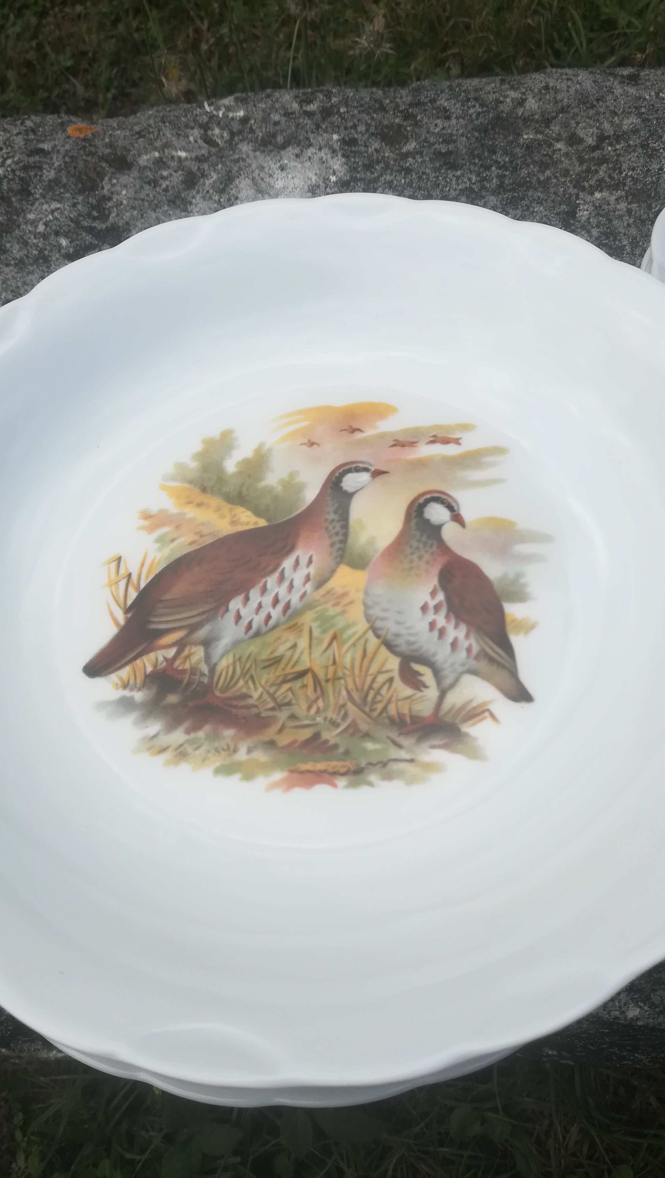 8 hollow plates animal decorations