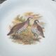 Set de 8 assiettes creuses décors animaux