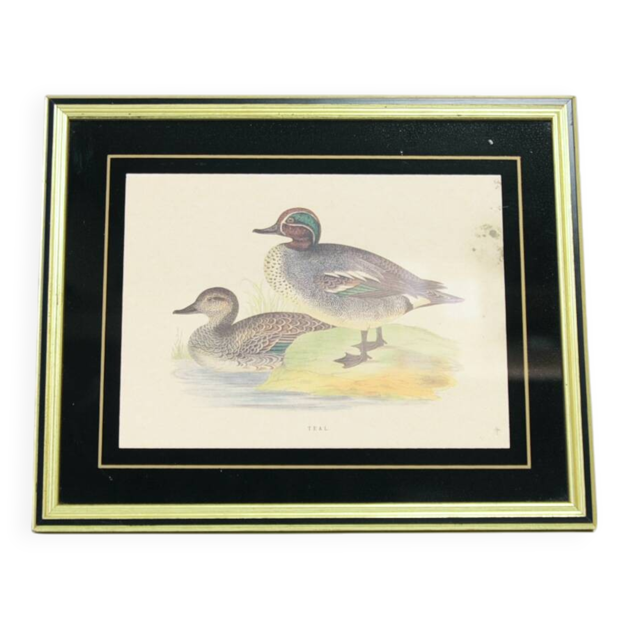 Vintage gold frame with ducks