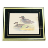 Vintage gold frame with ducks