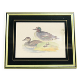 Vintage gold frame with ducks
