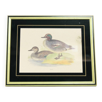 Vintage gold frame with ducks