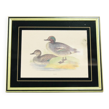 Cadre doré vintage avec canards