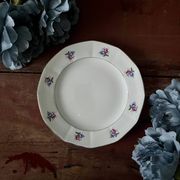 Assiettes et plat en véritable opaque Digoin Sarreguemines