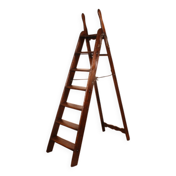 19th-century library ladder
