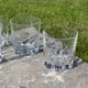 Set of 7 old whisky glasses, matching models.