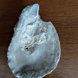 Fossile