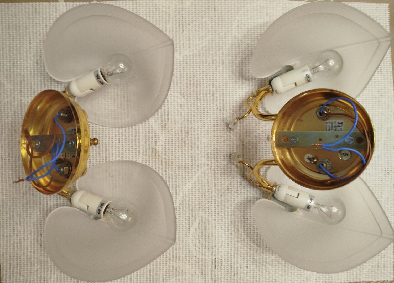 Pair of double wall sconces, gold leaf, shell, Hollywood Regency