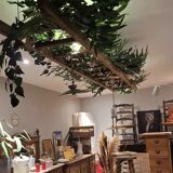 Renovated miller's scale