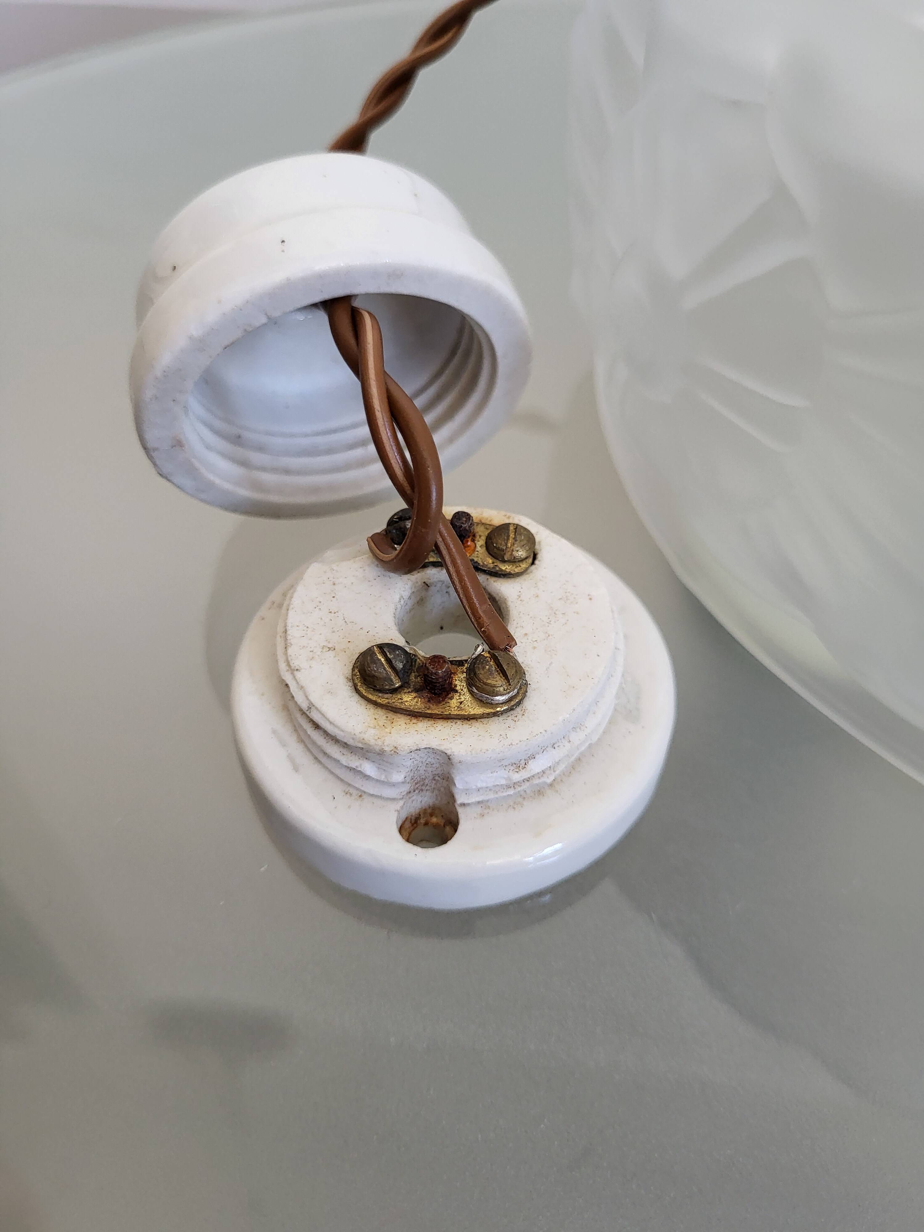 Lampe de plafond Art nouveau en persglas forgé avec décor floral, Frankrijk