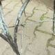 Antique wrought iron garden chairs, set of 2