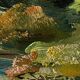 Oil Painting on Panel Vintage Signed CLAUDE SARGUE Landscape 2