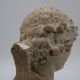 Bust in flat woman renaissance late 19th hair drapes