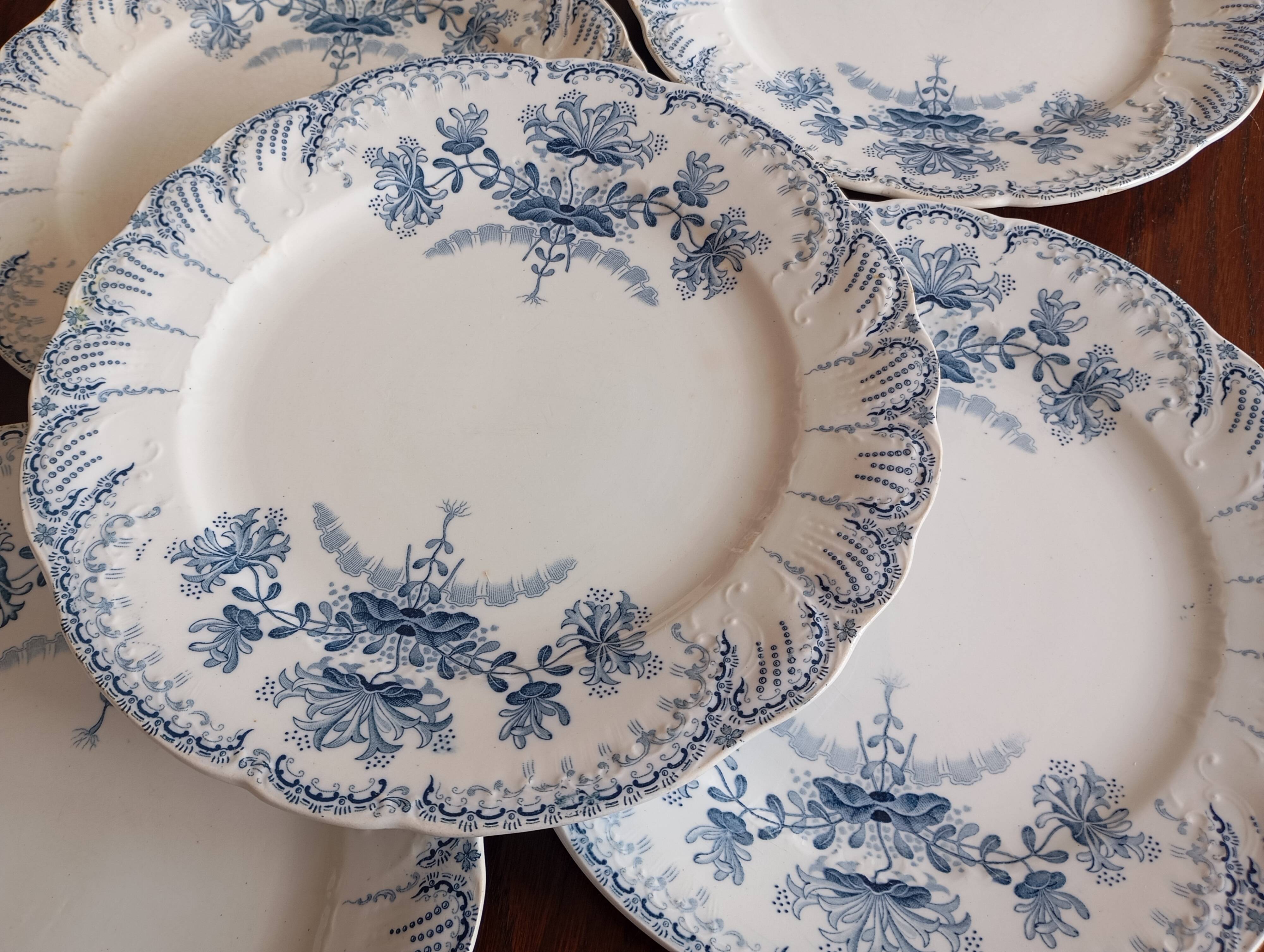 Flat plates ironstone St Amand Hamage 'Regency'