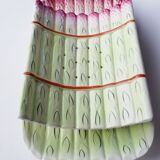 Asparagus dish in slip