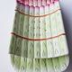 Asparagus dish in slip